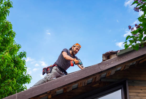 Best Chimney Flashing Repair  in Theresa, WI