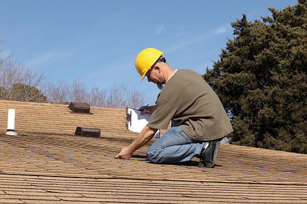 Best Roof Moss and Algae Removal  in Theresa, WI